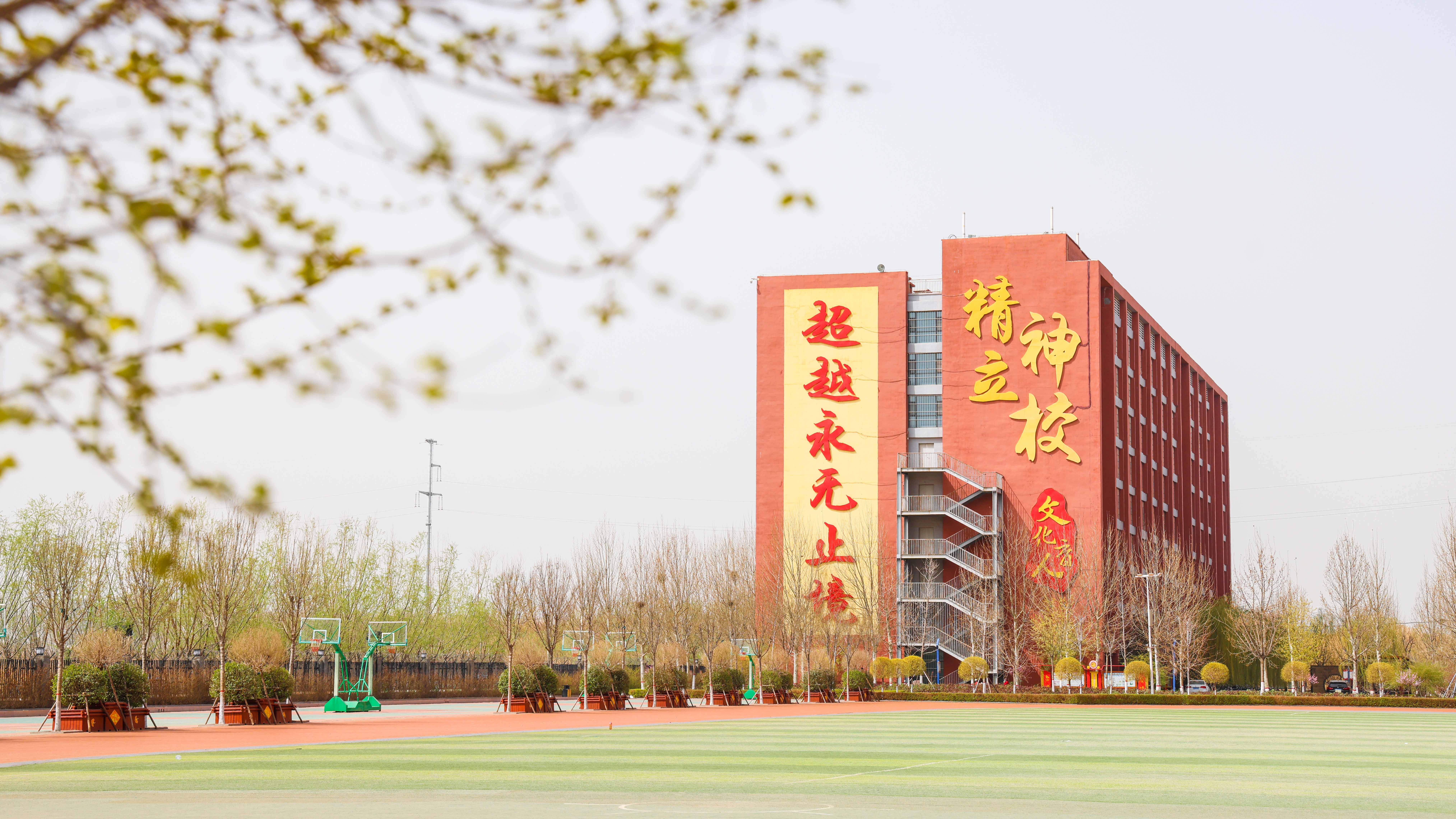 春天 (8).jpg