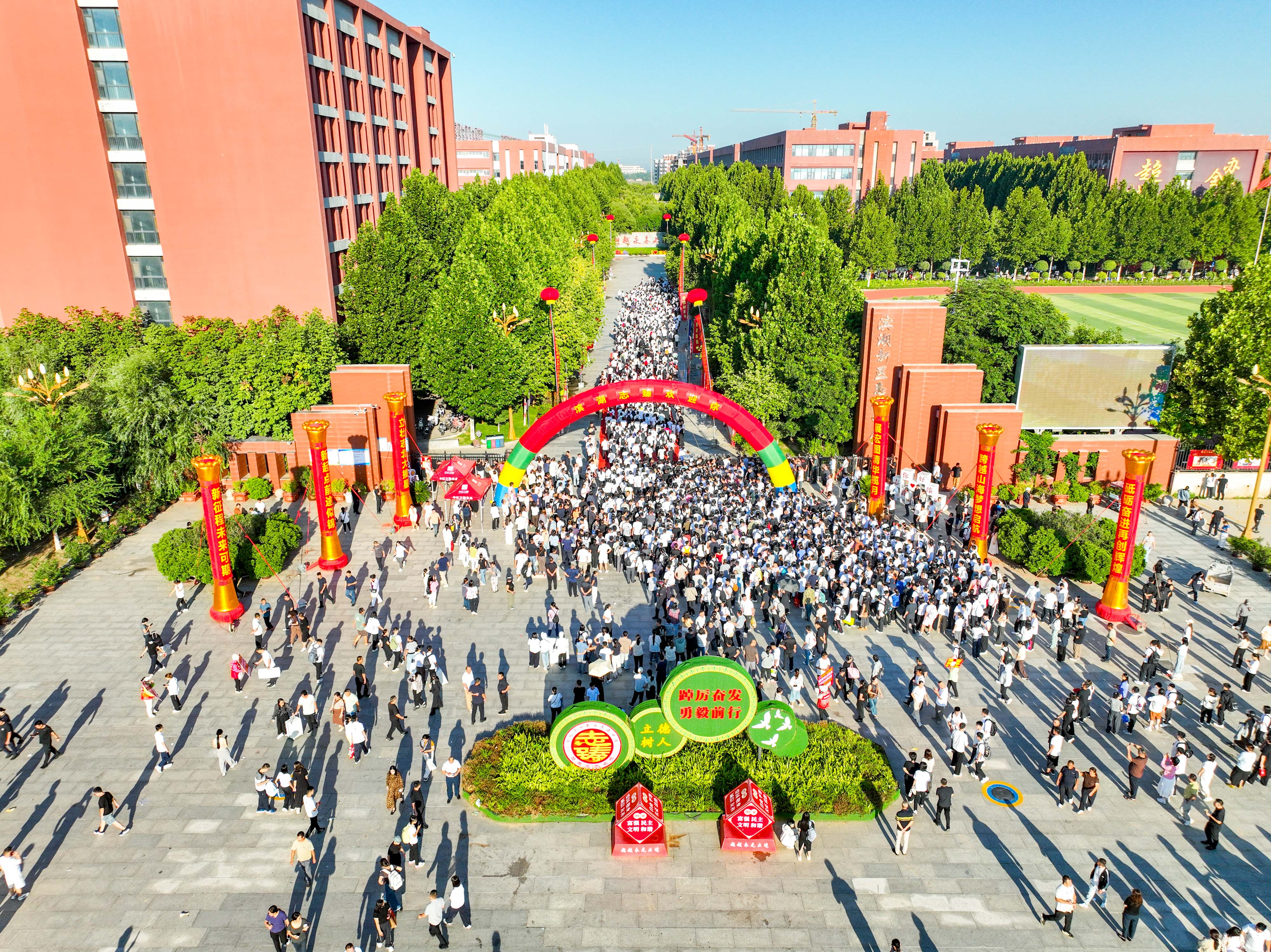 DJI_0733.jpg